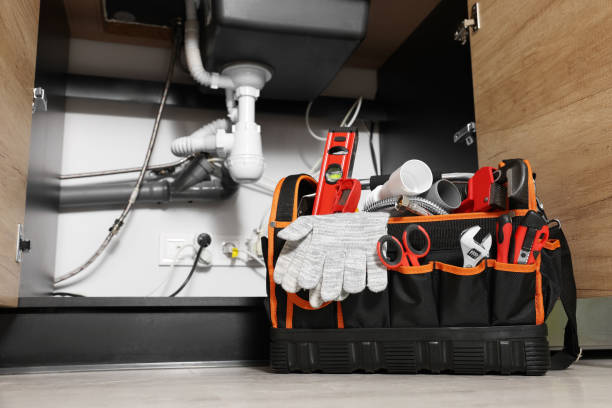 Best Affordable Plumbing Services  in Newberry, FL