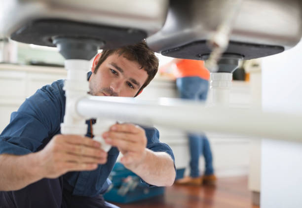 Best Sprinkler Systems  in Newberry, FL