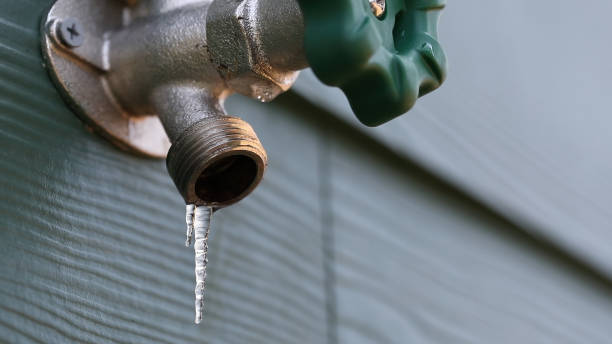 Best Emergency Plumbing Repair  in Newberry, FL