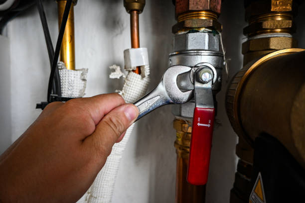 Best Residential Plumbing Services  in Newberry, FL